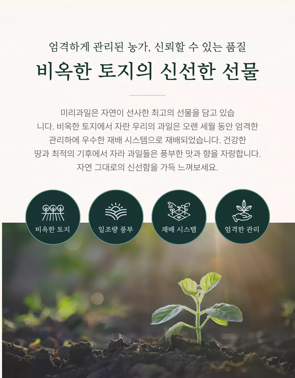 초록과 아이보리색의 전통적인 추석 과일 선물세트 인트로 설명 홍보