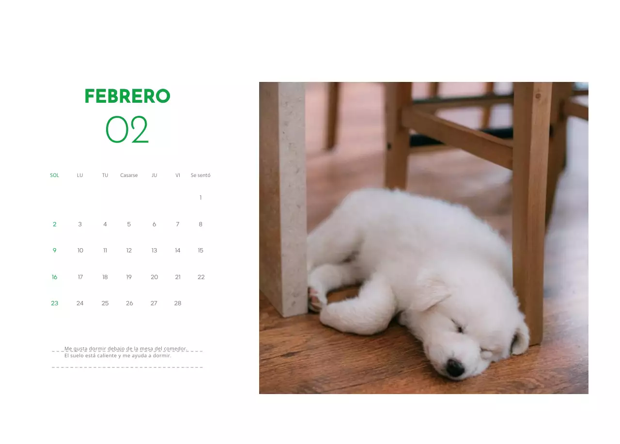 Un calendario con una foto de un cachorro y un bonito mensaje en color verde