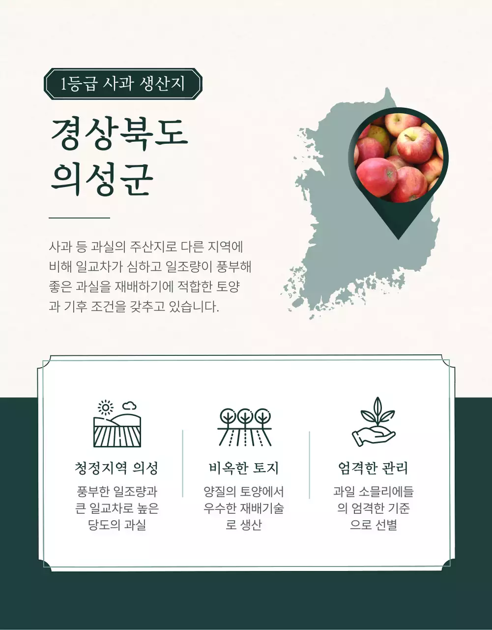 초록과 아이보리색의 전통적인 추석 과일 선물세트 인트로 설명 홍보