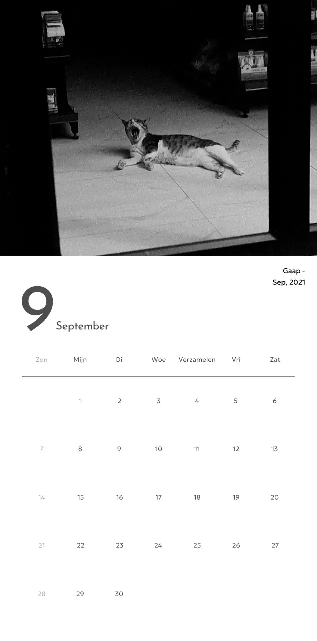 Een fotokalender met een strakke, stedelijke uitstraling