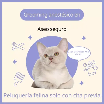 Sencillo anuncio de peluquería felina sin anestesia en colores malva y marfil