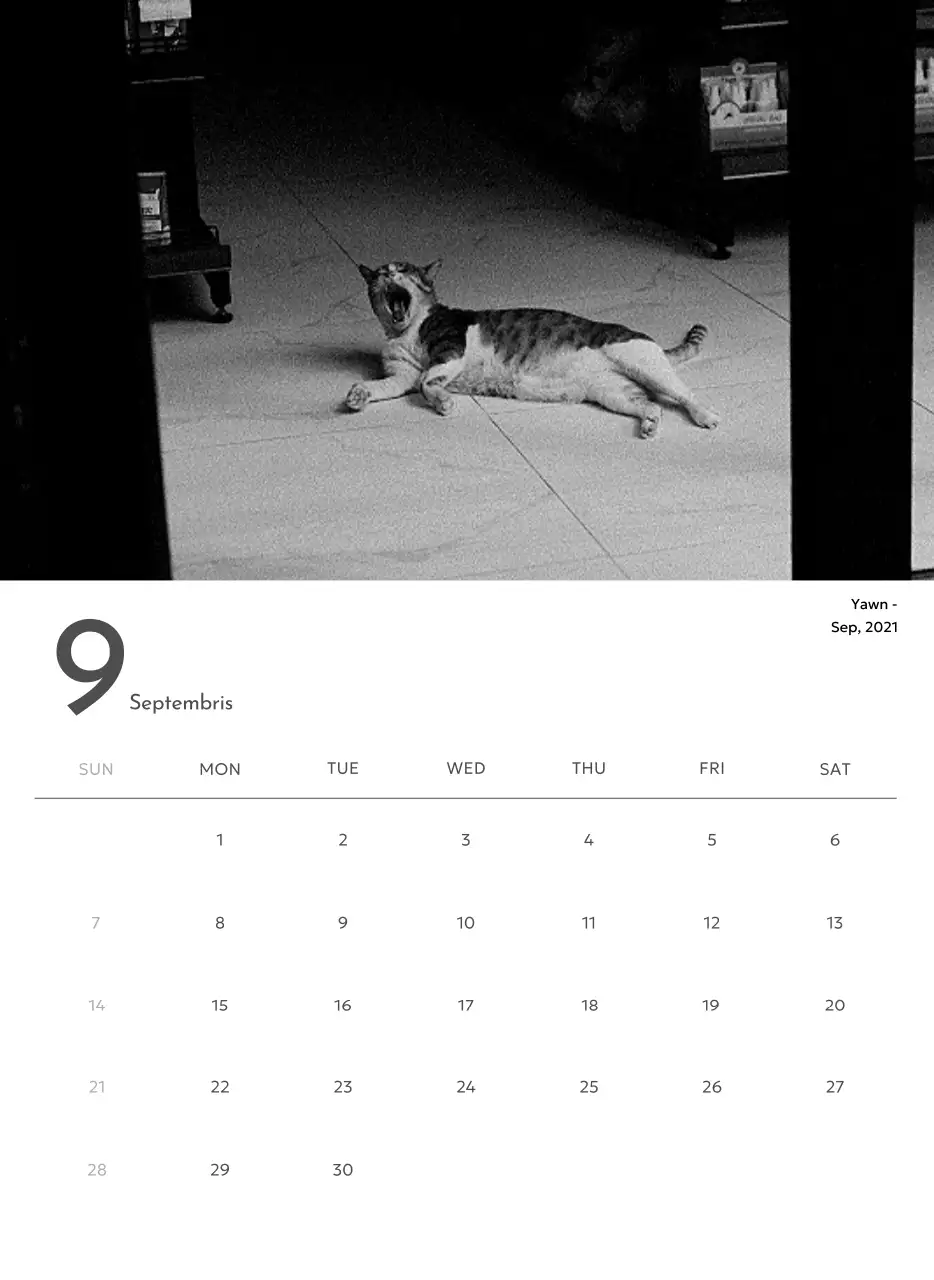 Kalender foto dengan nuansa perkotaan yang bersih