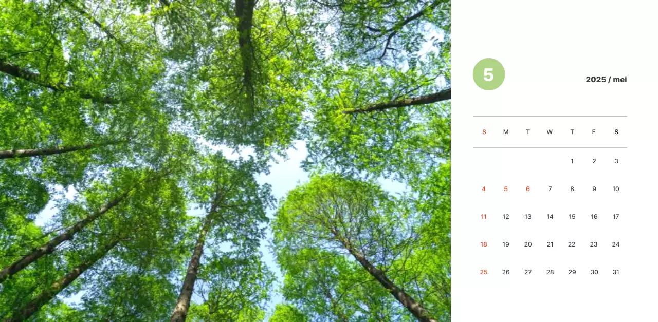 Warme landschapsfotografie in pastelkleuren