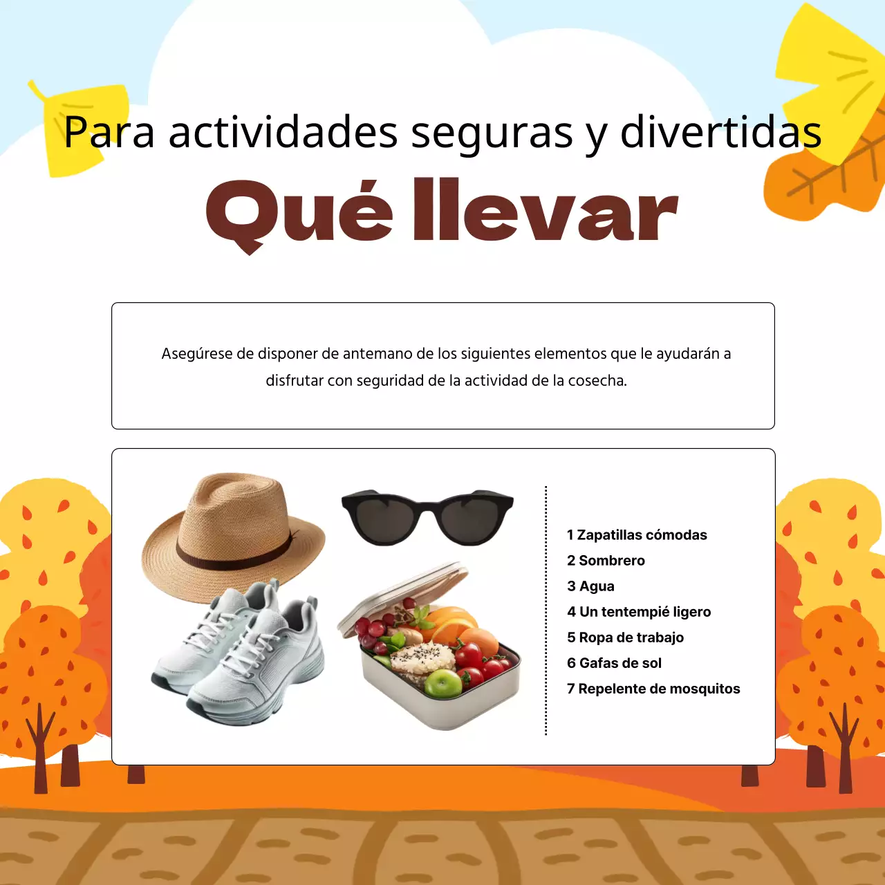 Orange Autumn Experience Roundup