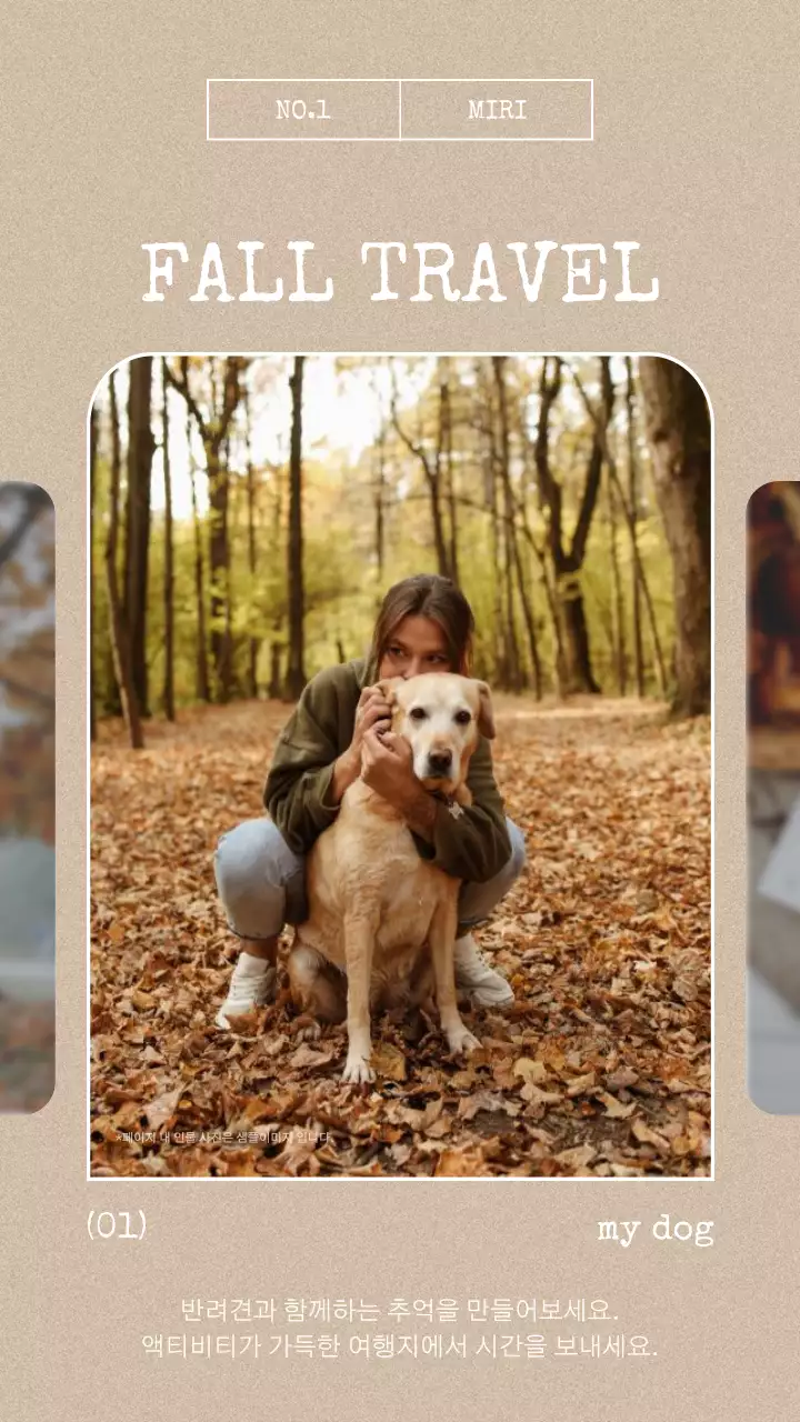 갈색과 흰색의 심플한 가을 여행 홍보