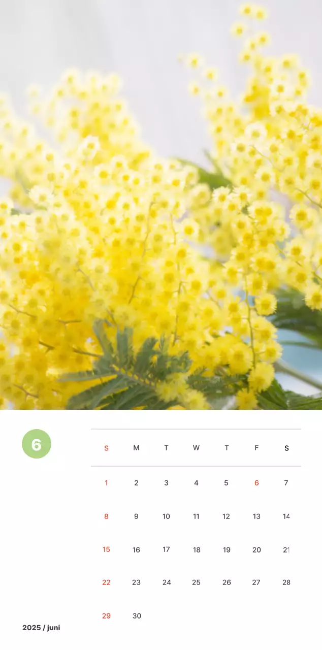 Warme landschapsfotografie in pastelkleuren