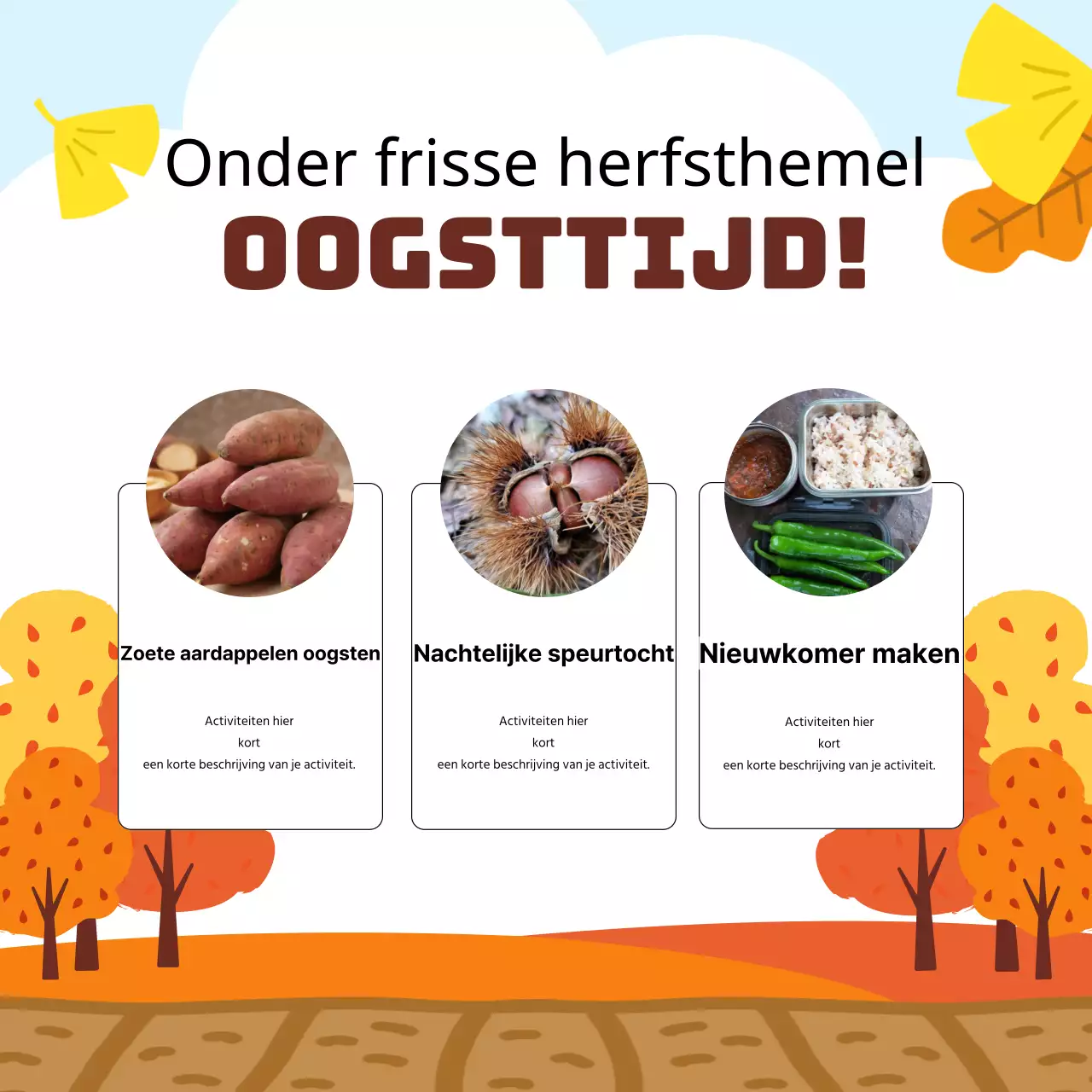 Oranje Herfst Belevenis Roundup