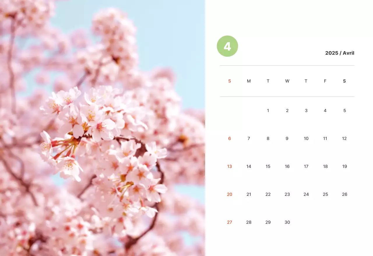 Photographie de paysages chaleureux aux couleurs pastel