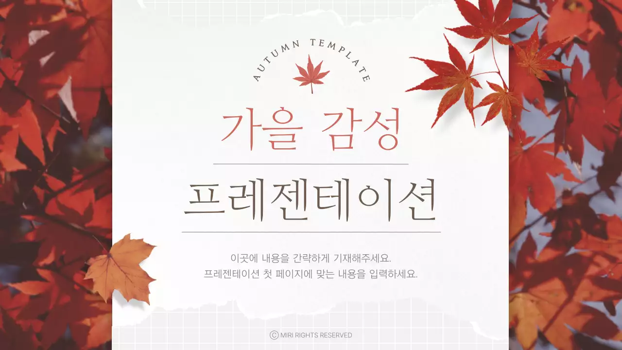 빨강의 빈티지한 가을 단풍의 발표자료