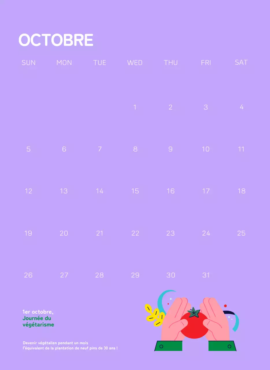 Une fondation sociale qui célèbre les fêtes de fin d'année avec des illustrations colorées de personnes et de la planète.