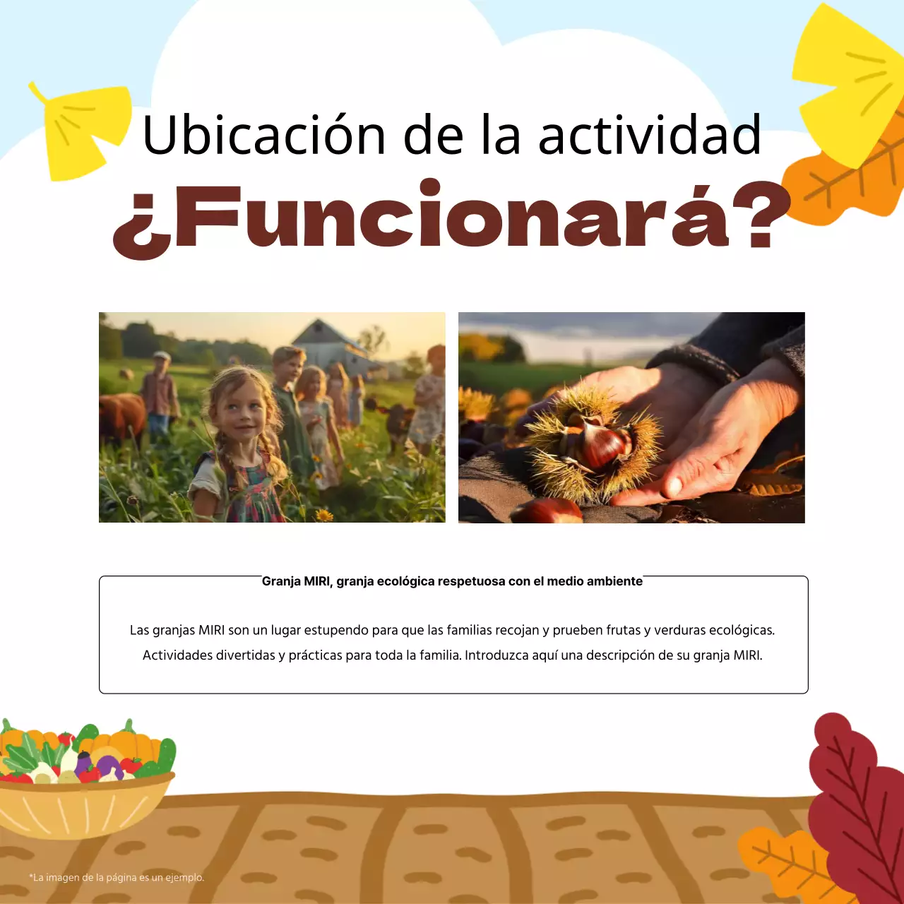 Orange Autumn Experience Roundup