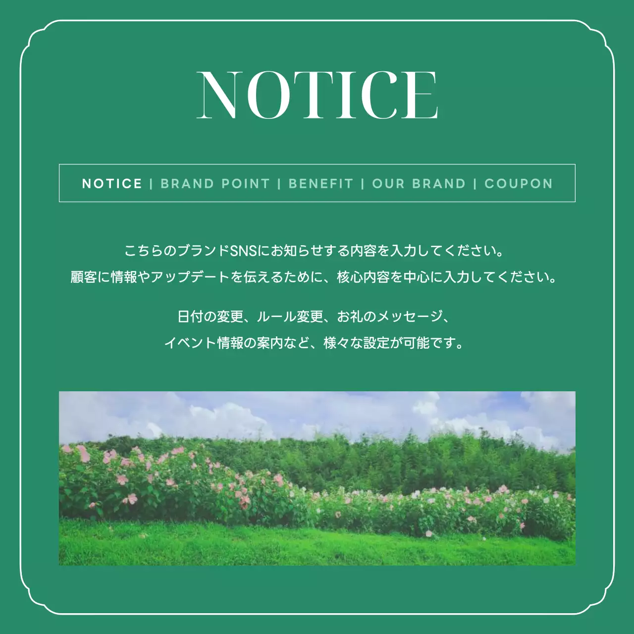 緑 上品 ブランド お知らせ Instagram カルーセル