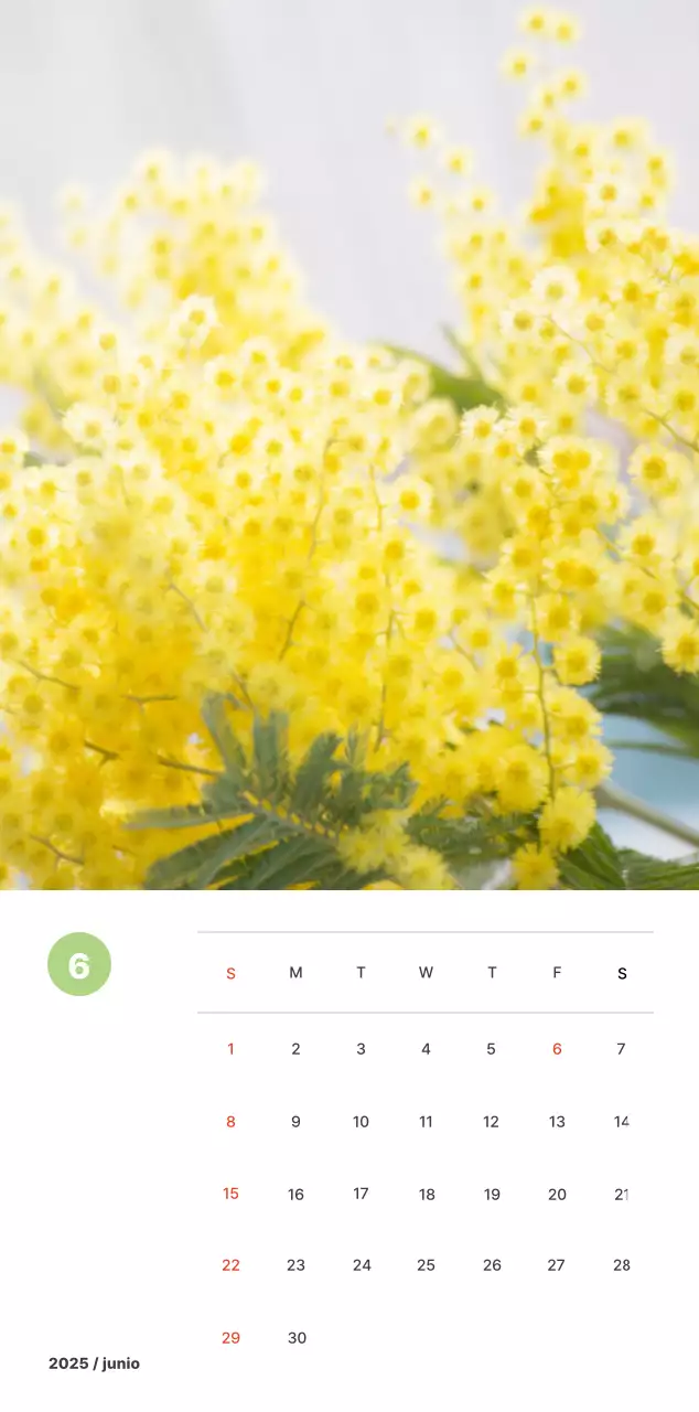 Fotografía de paisajes cálidos en colores pastel
