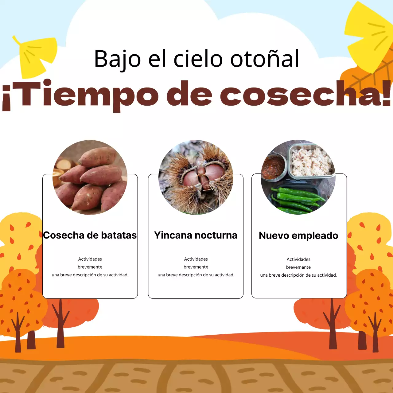 Orange Autumn Experience Roundup