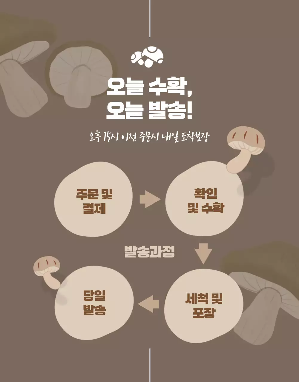 노랑과 갈색의 깔끔한 표고버섯 홍보