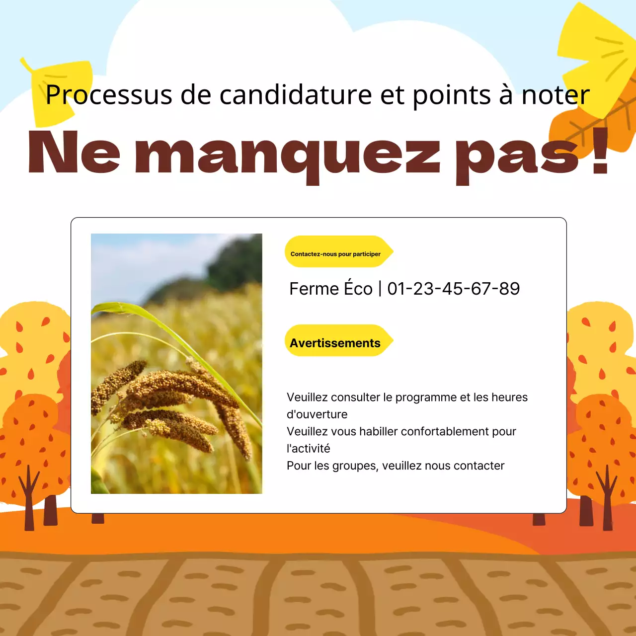 Récapitulatif des expériences de l'automne orange