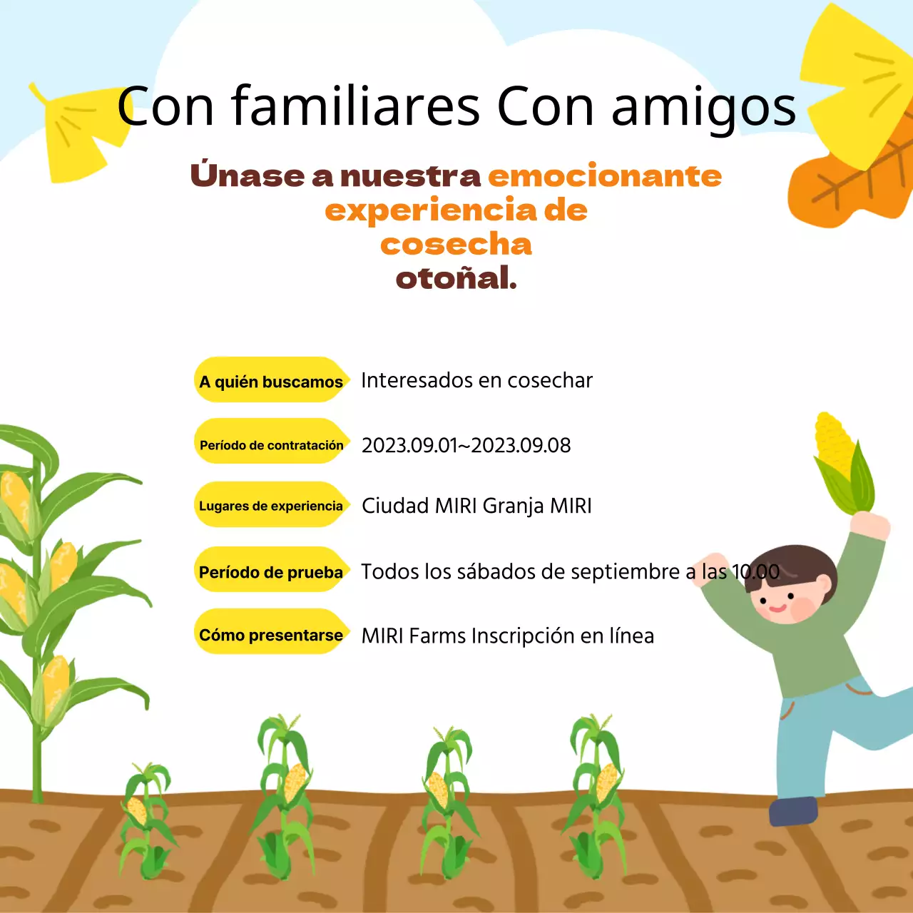 Orange Autumn Experience Roundup