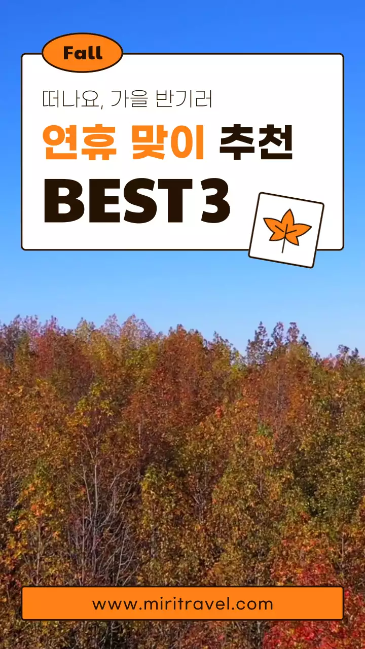 주황색과 흰색의 트렌드한 가을 단풍 여행 동영상