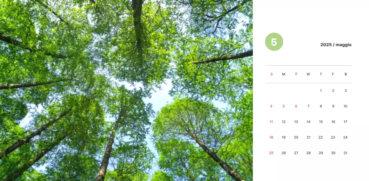 Calda fotografia di paesaggio con colori pastello