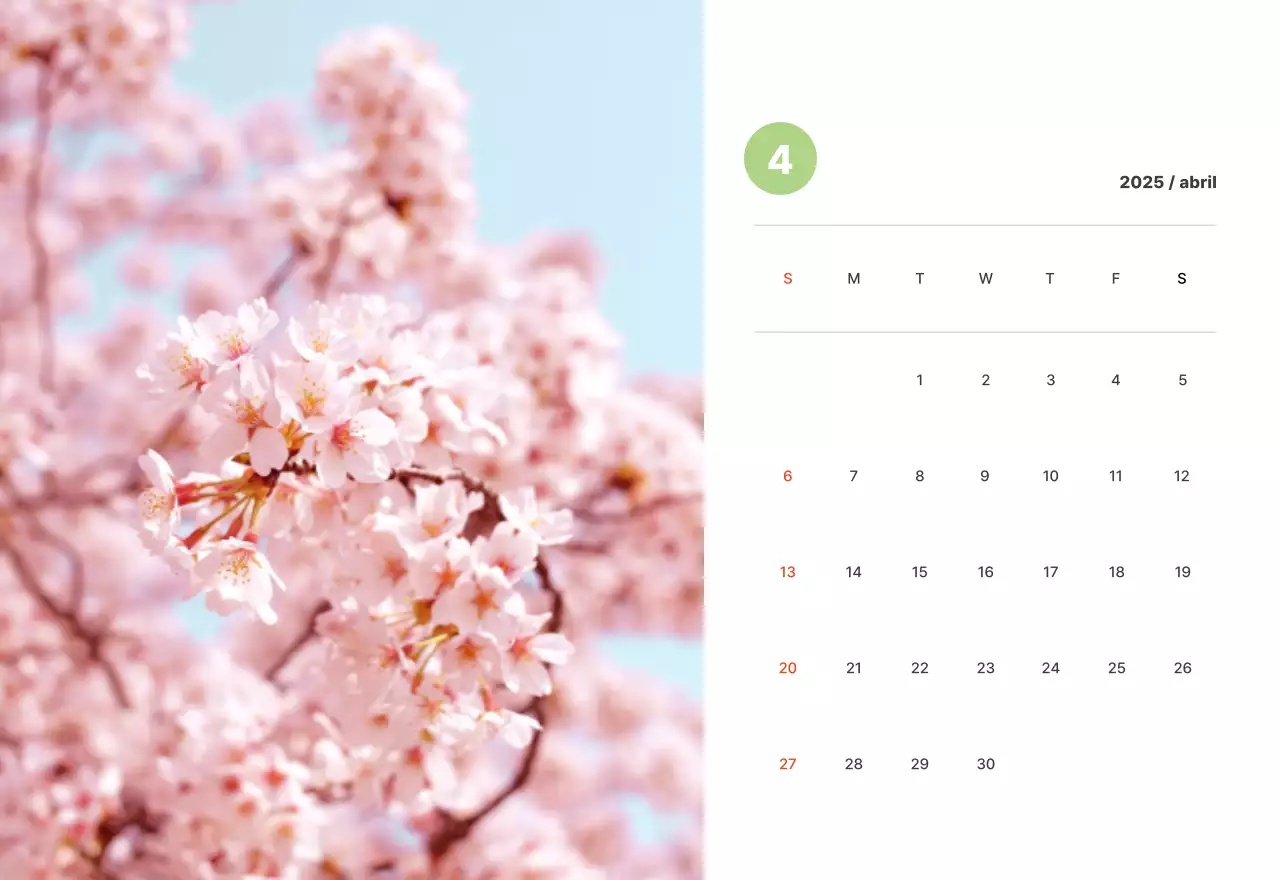 Fotografía de paisajes cálidos en colores pastel