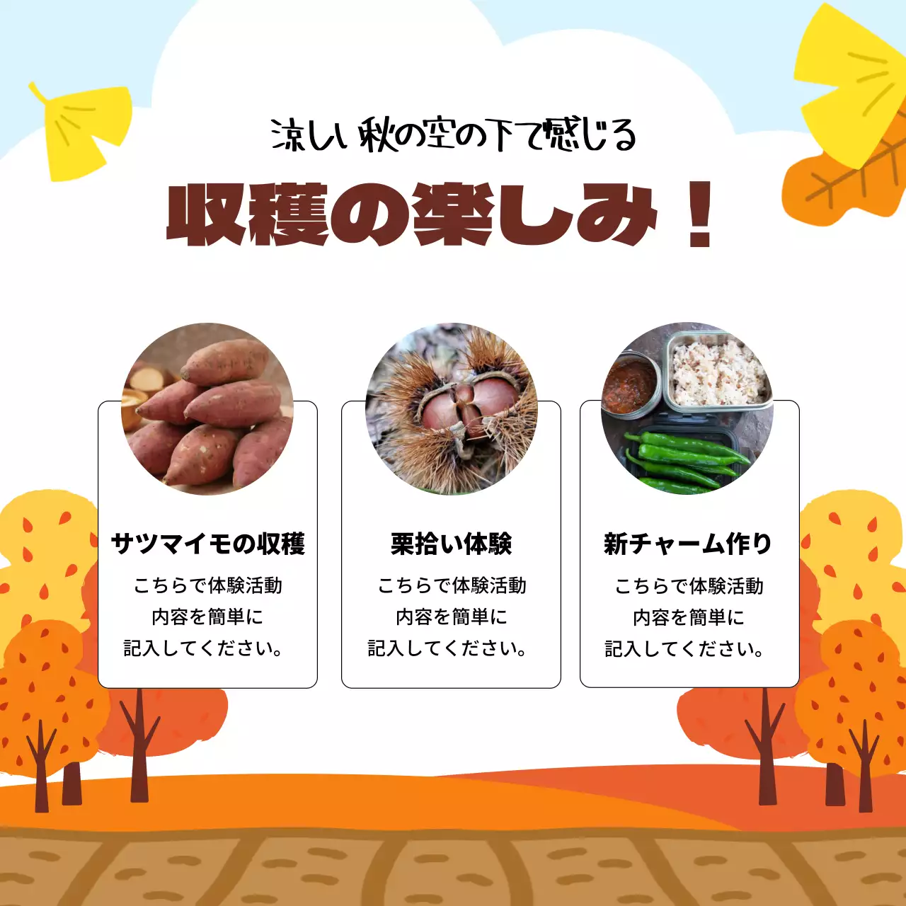 オレンジ かわいい 農園 ポスター Instagram カルーセル