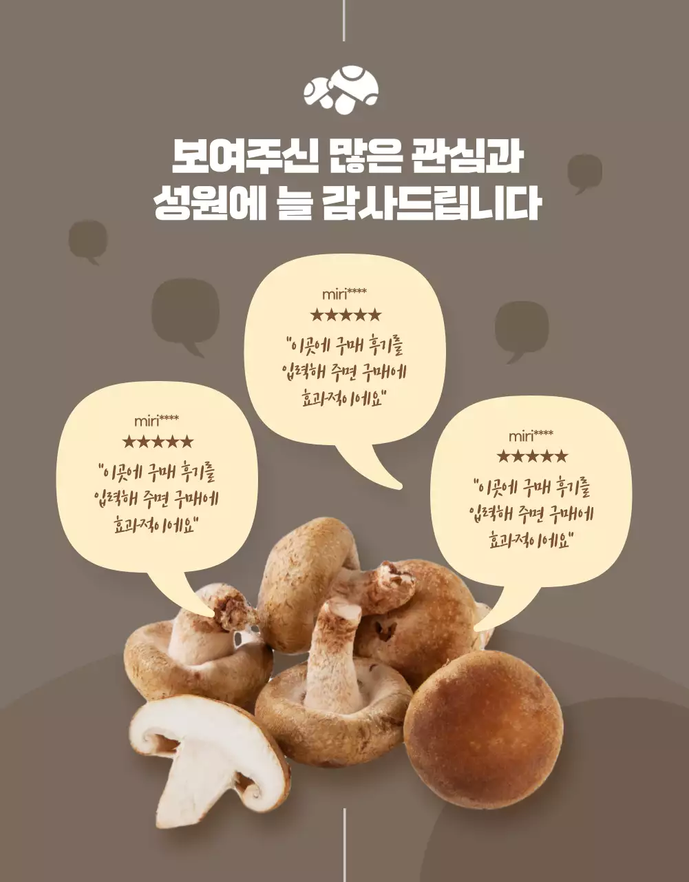 노랑과 갈색의 깔끔한 표고버섯 홍보