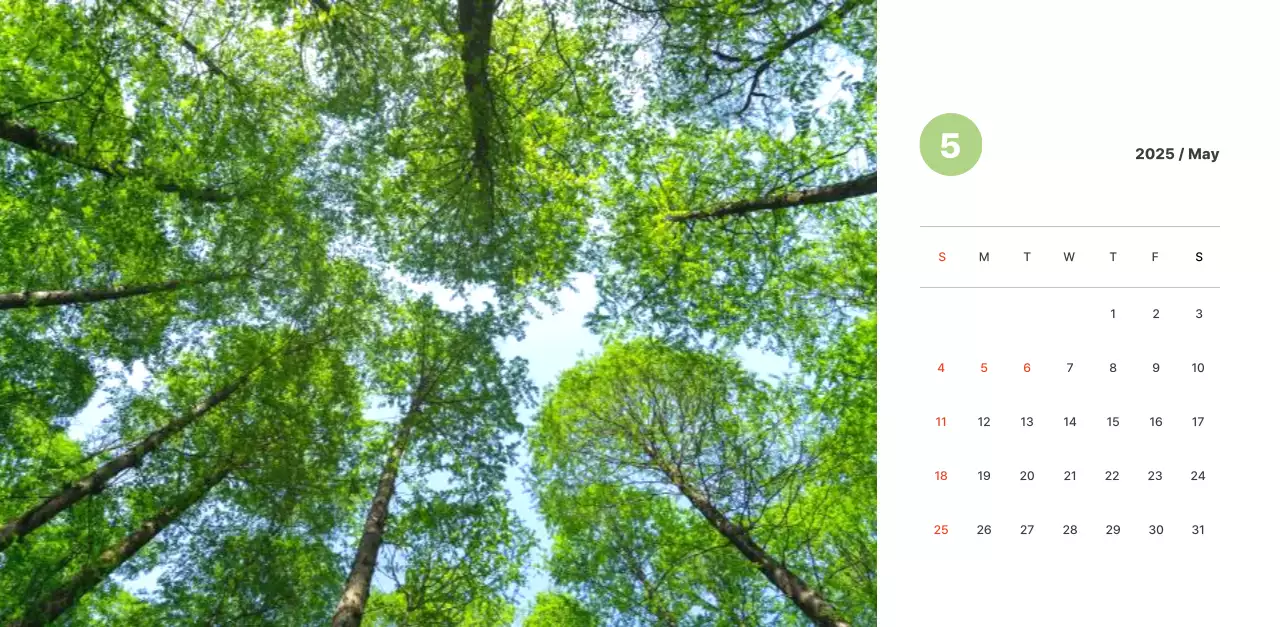 Warm, pastel-colored landscape photography