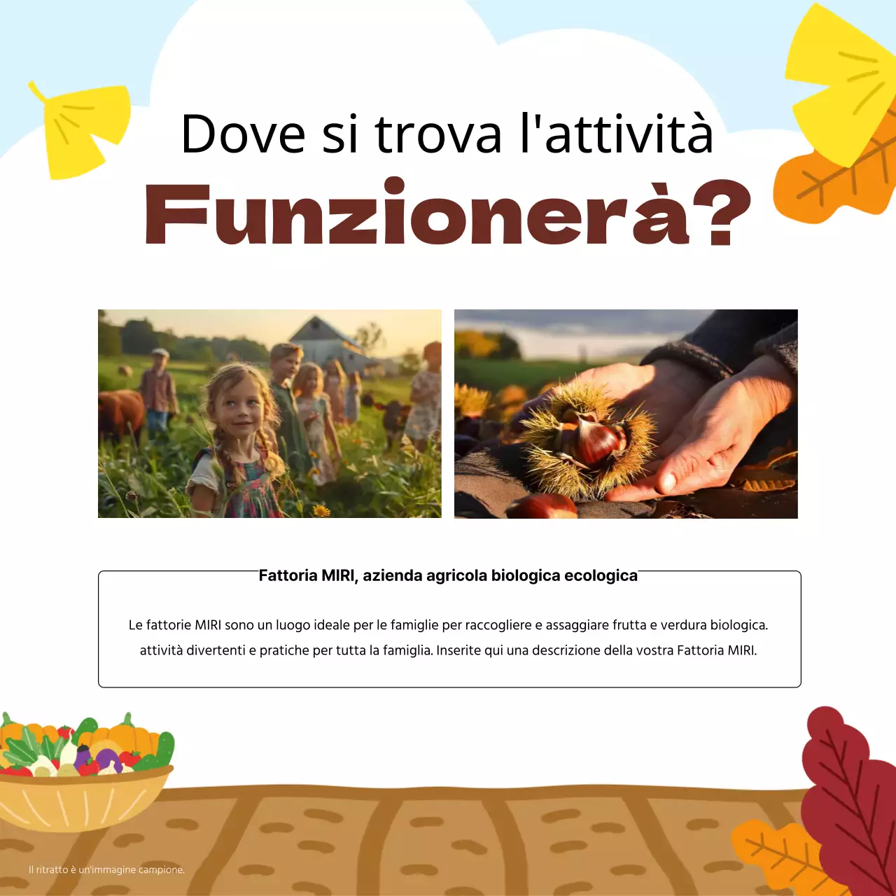 Raccolta di esperienze dell'autunno arancione