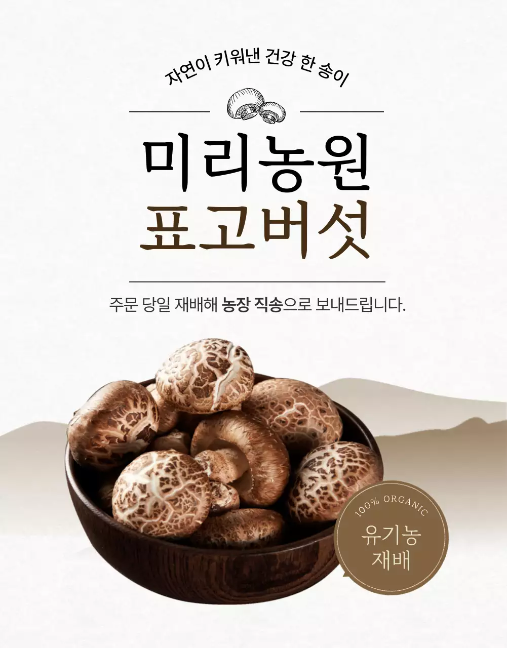 아이보리색의 동양적인 표고버섯 홍보