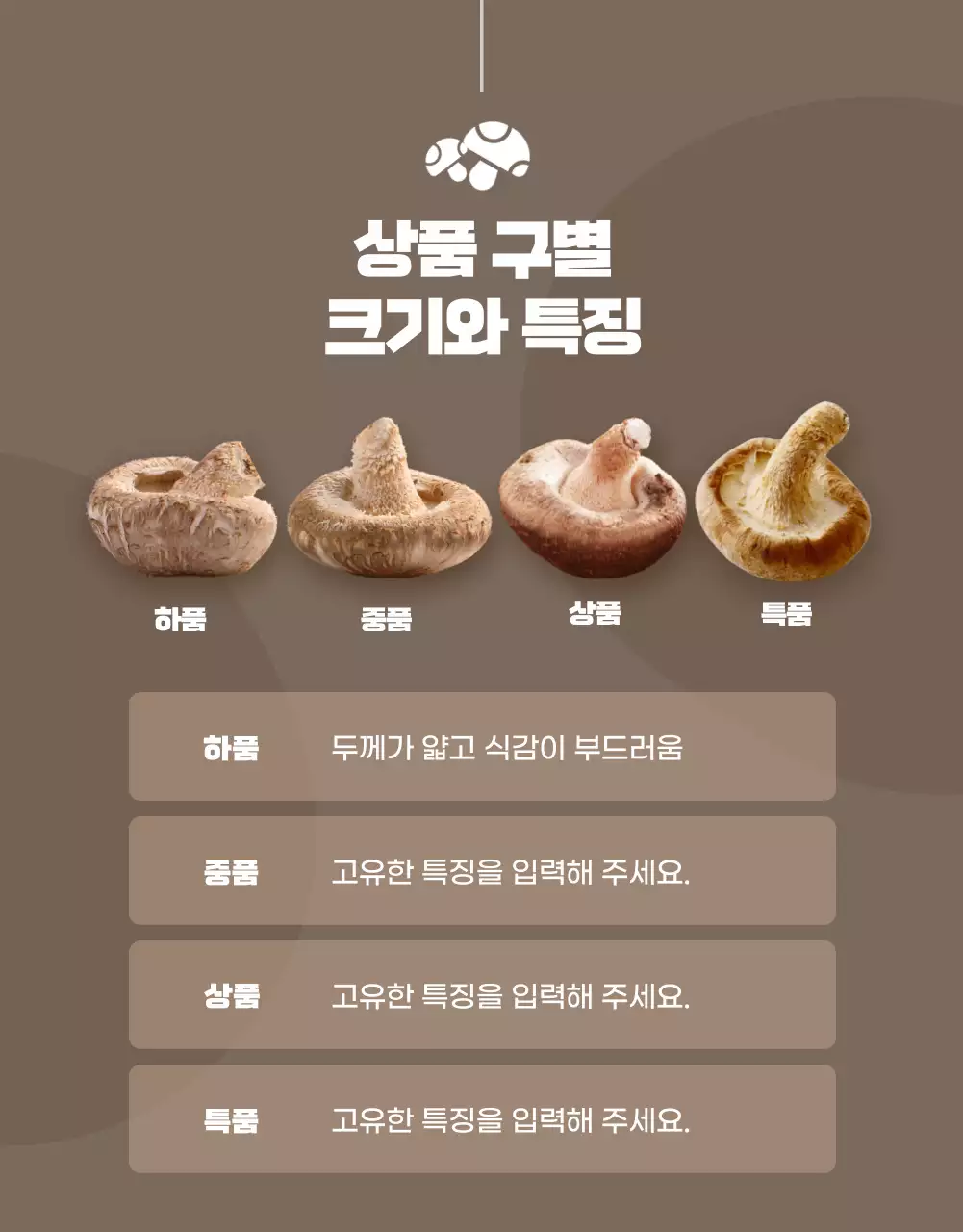 노랑과 갈색의 깔끔한 표고버섯 홍보