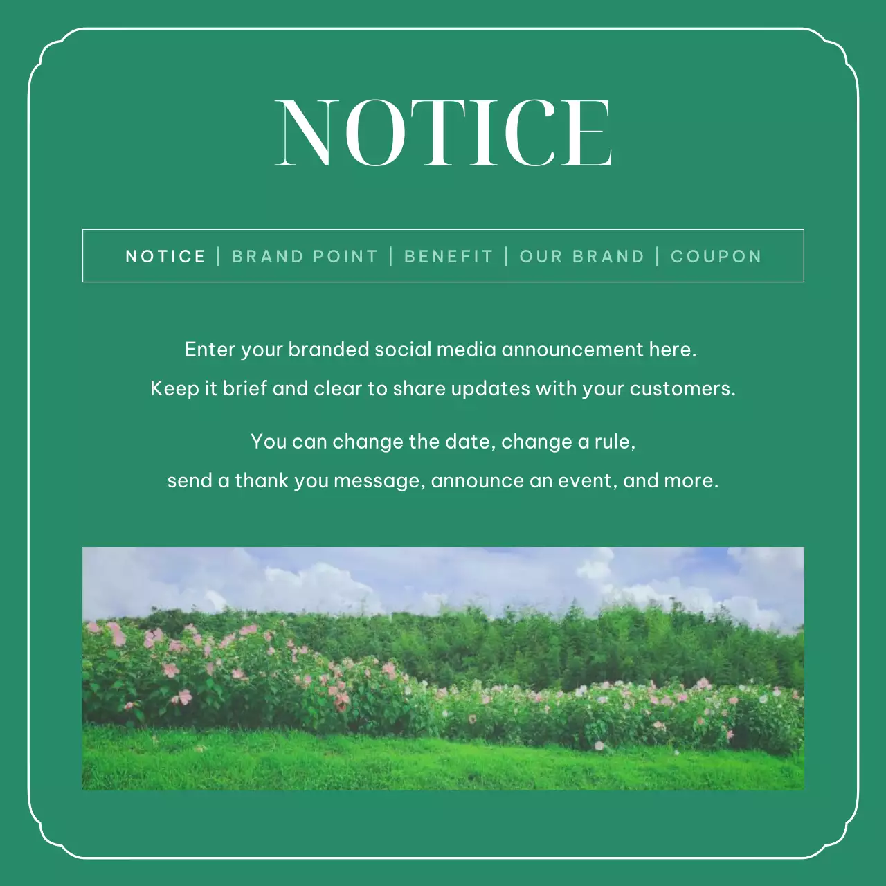 Green Elegant Branding Template Instagram Carousel