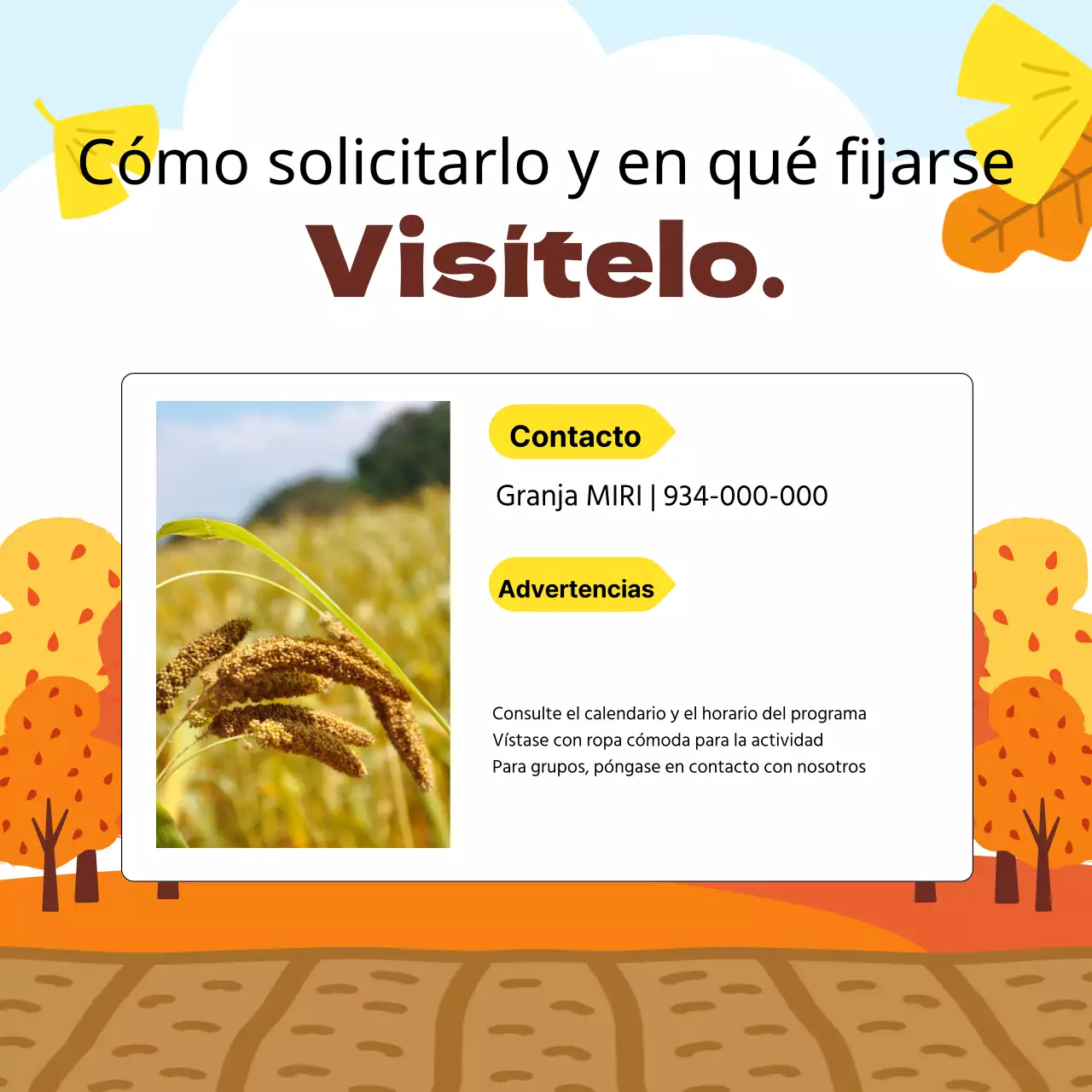 Orange Autumn Experience Roundup