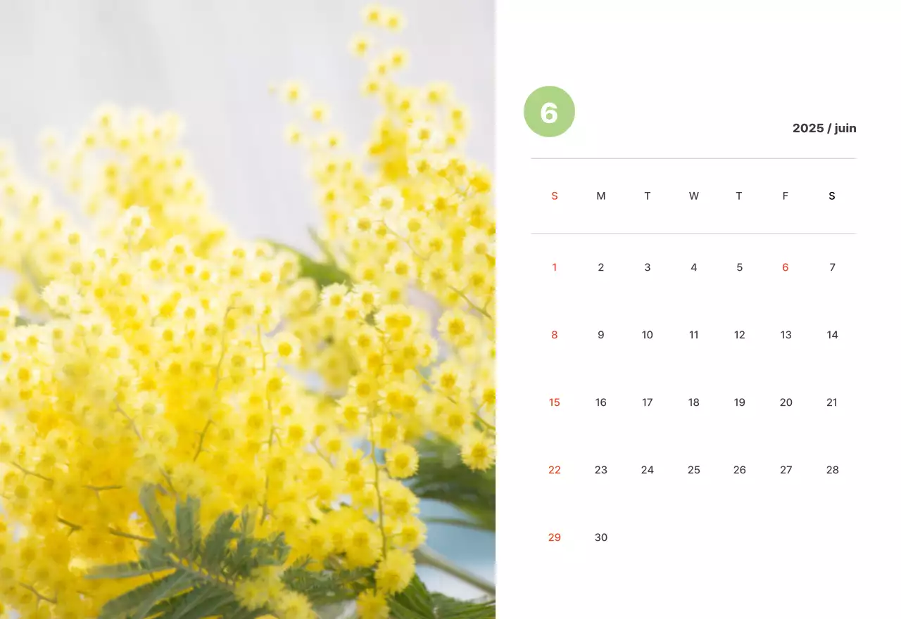 Photographie de paysages chaleureux aux couleurs pastel