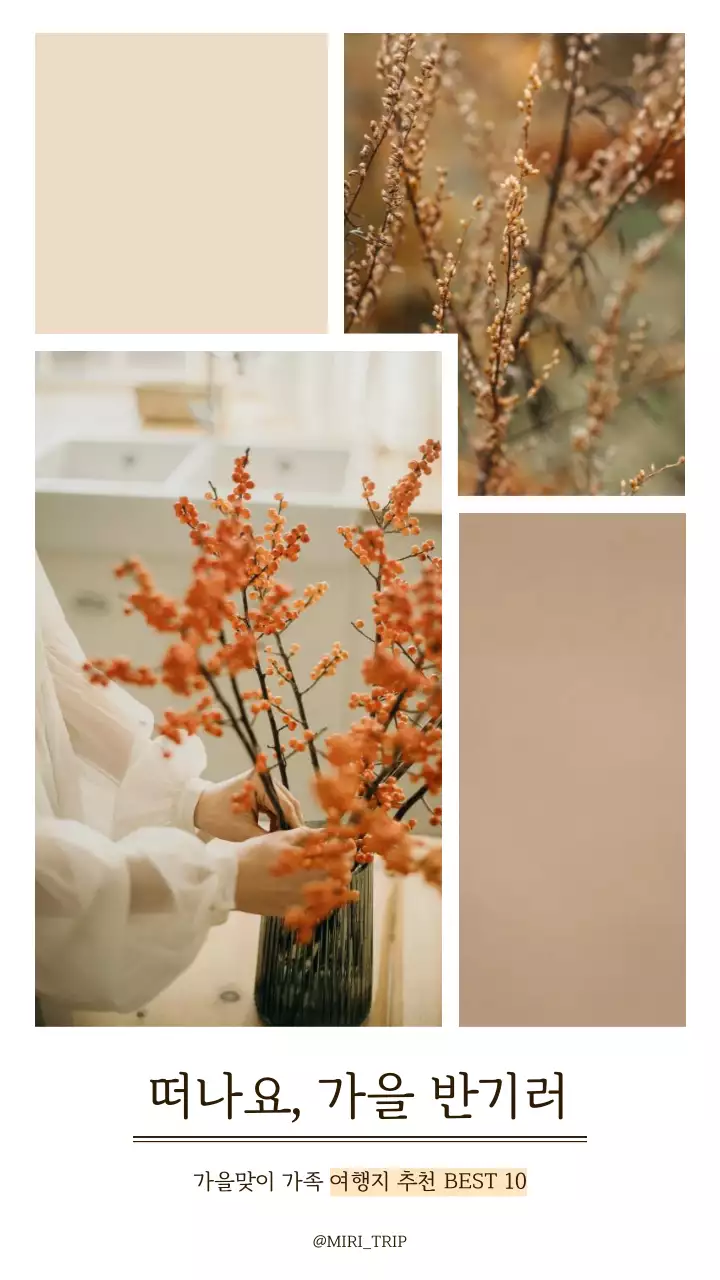 베이지색과 흰색의 모던한 가을 여행 홍보