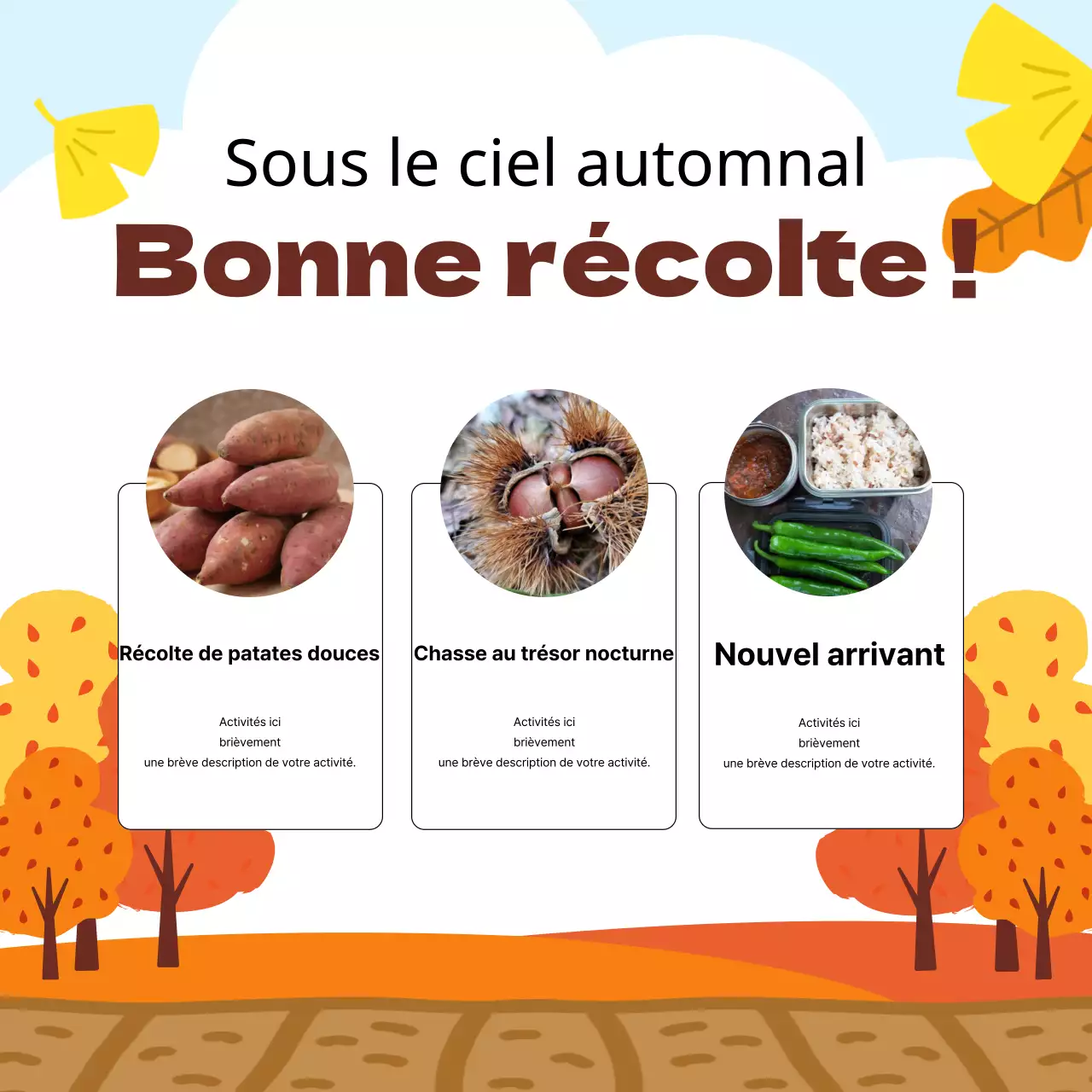Récapitulatif des expériences de l'automne orange