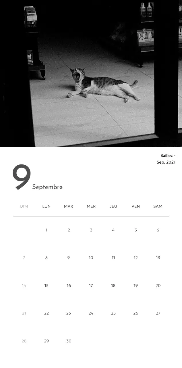 Un calendrier photo à l'allure urbaine et épurée