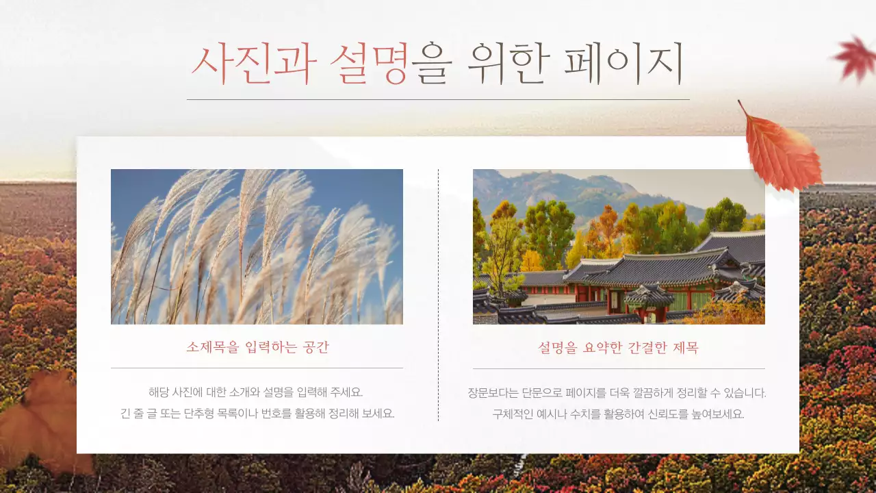 빨강의 빈티지한 가을 단풍의 발표자료