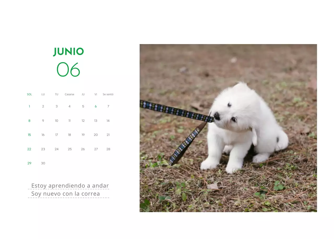 Un calendario con una foto de un cachorro y un bonito mensaje en color verde