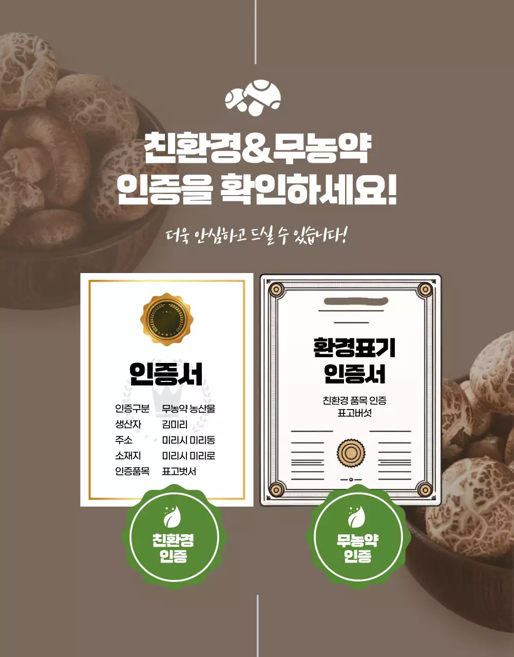 노랑과 갈색의 깔끔한 표고버섯 홍보