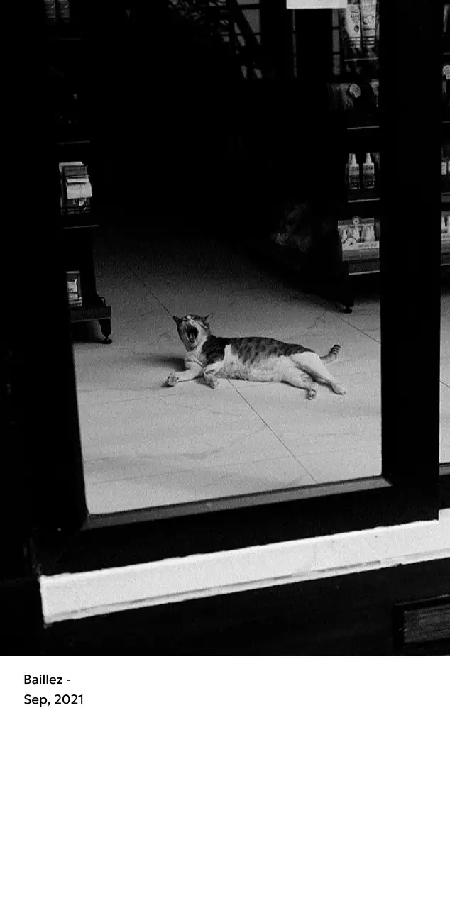 Un calendrier photo à l'allure urbaine et épurée