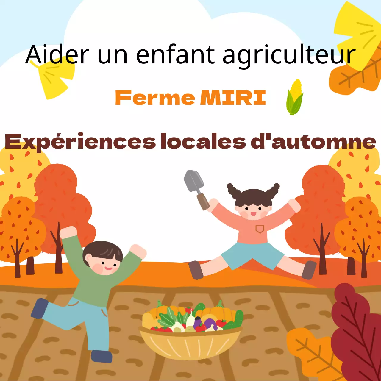 Récapitulatif des expériences de l'automne orange