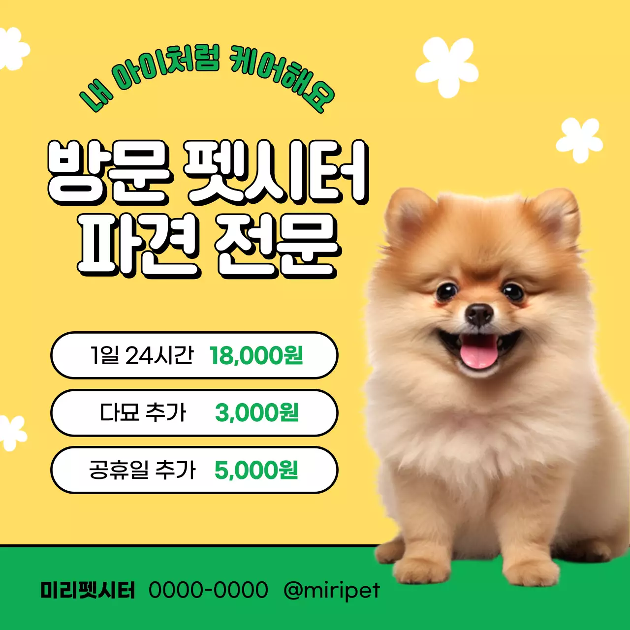 노랑과 초록색의 아기자기한 반려동물 케어 홍보