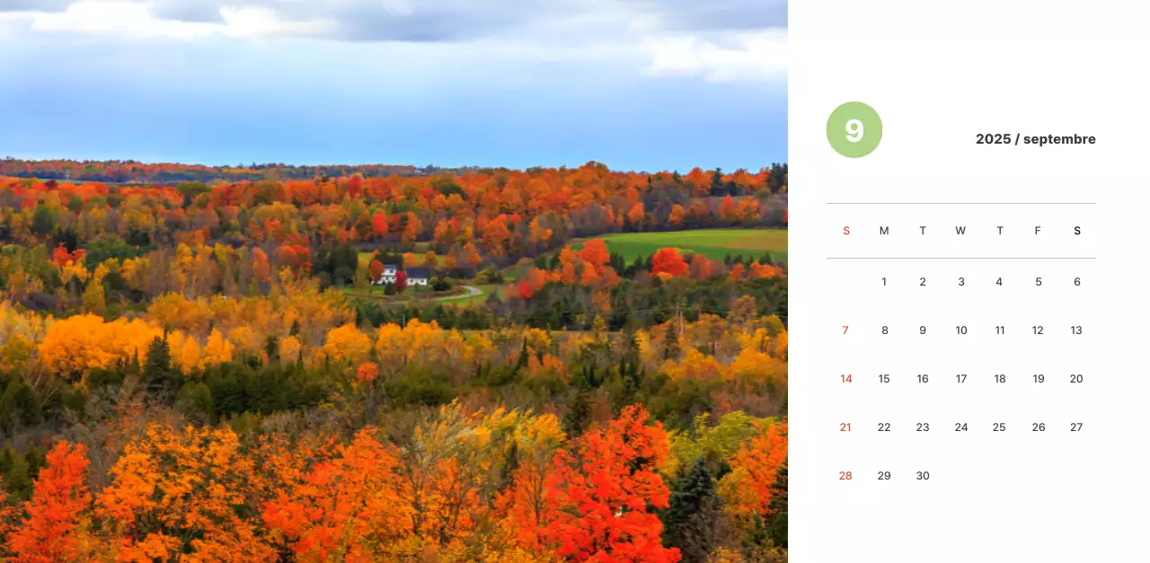 Photographie de paysages chaleureux aux couleurs pastel