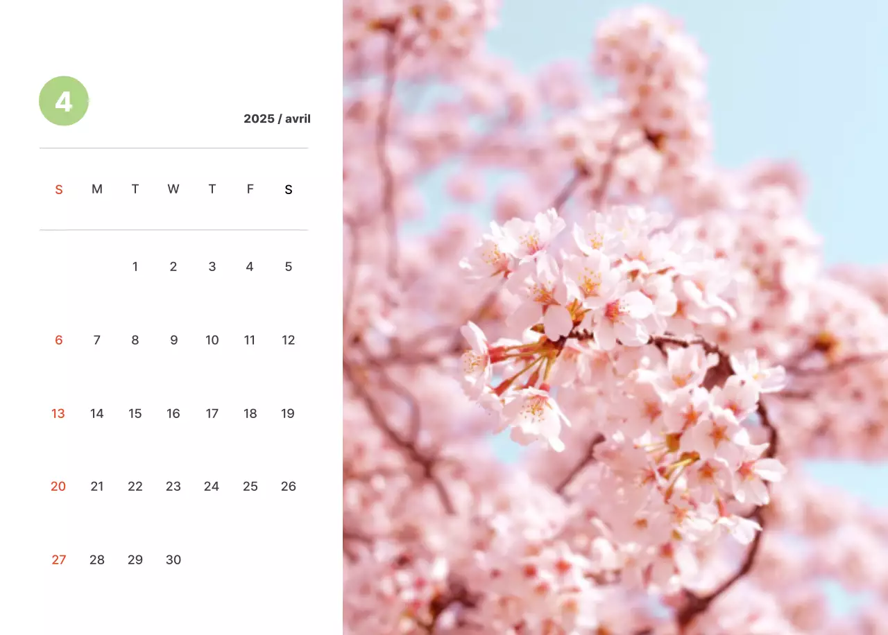 Photographie de paysages chaleureux aux couleurs pastel