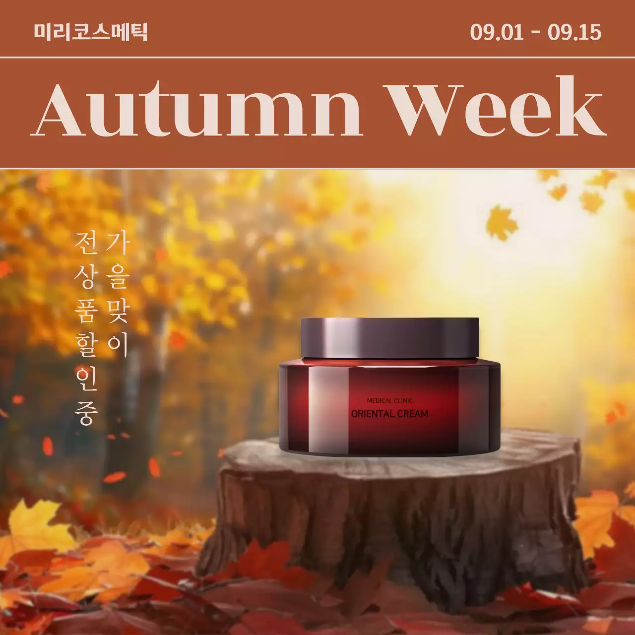 갈색의 모던한 가을 프로모션 안내