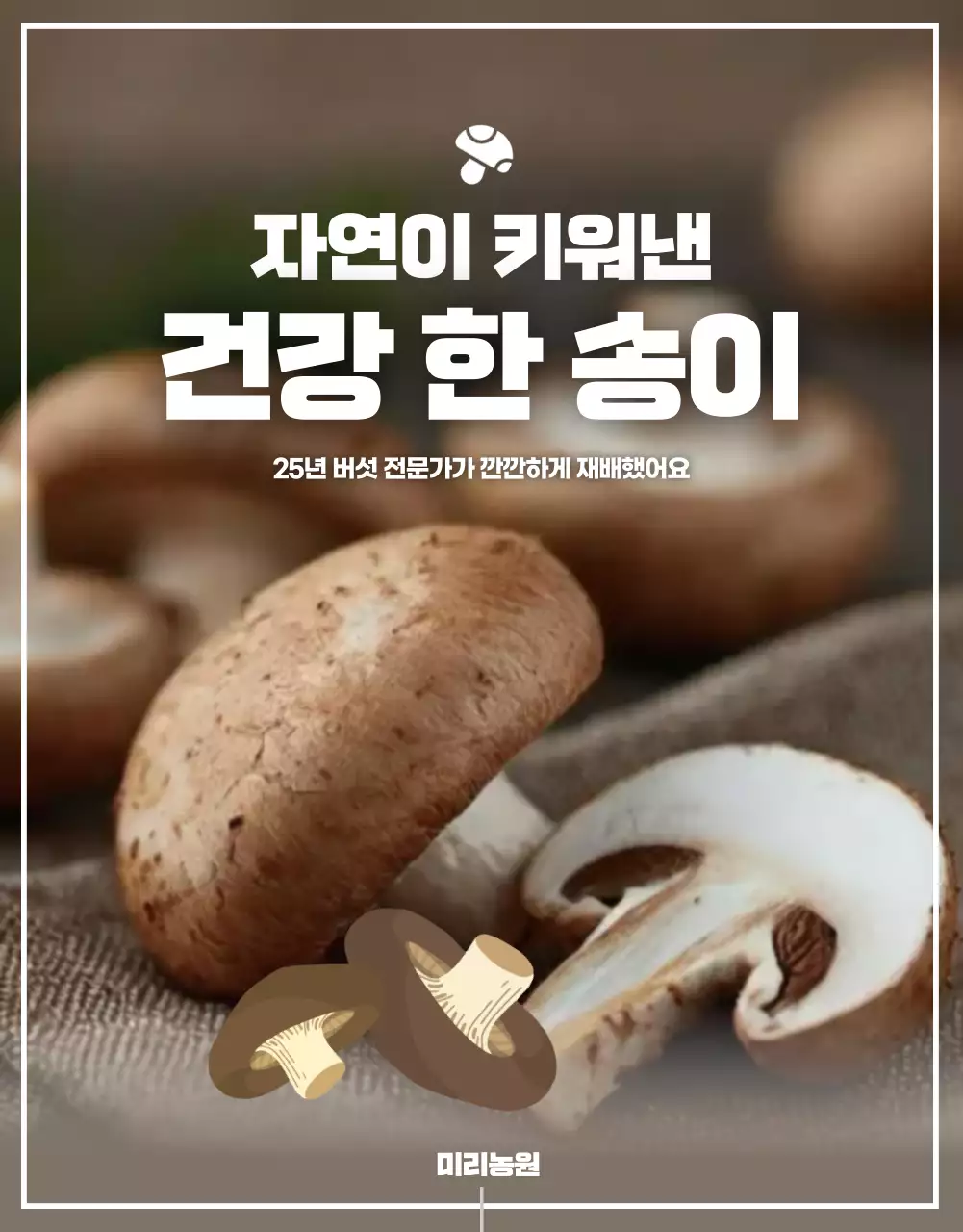 노랑과 갈색의 깔끔한 표고버섯 홍보