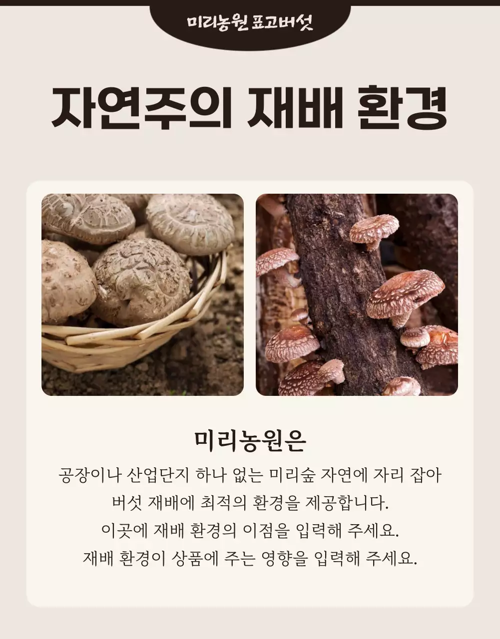 갈색의 정갈한 표고버섯 광고