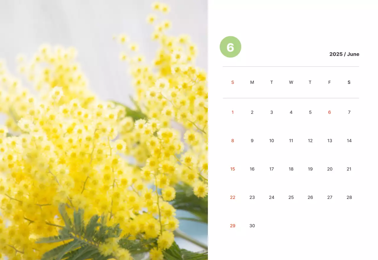 パステルカラーの温かみのある風景写真