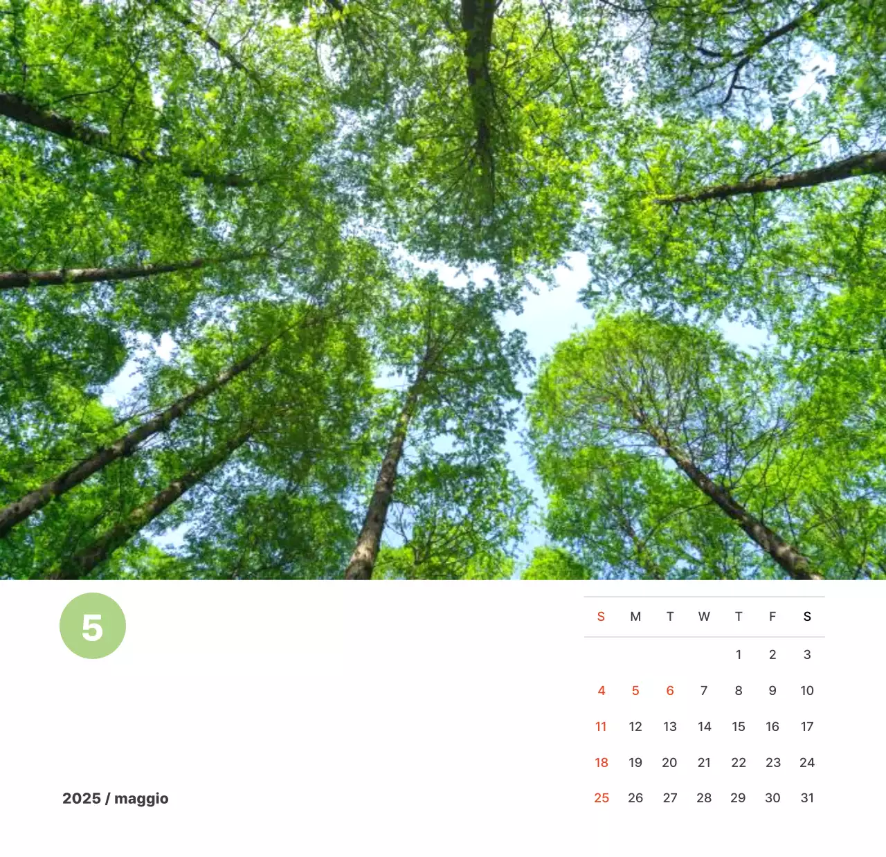 Calda fotografia di paesaggio con colori pastello