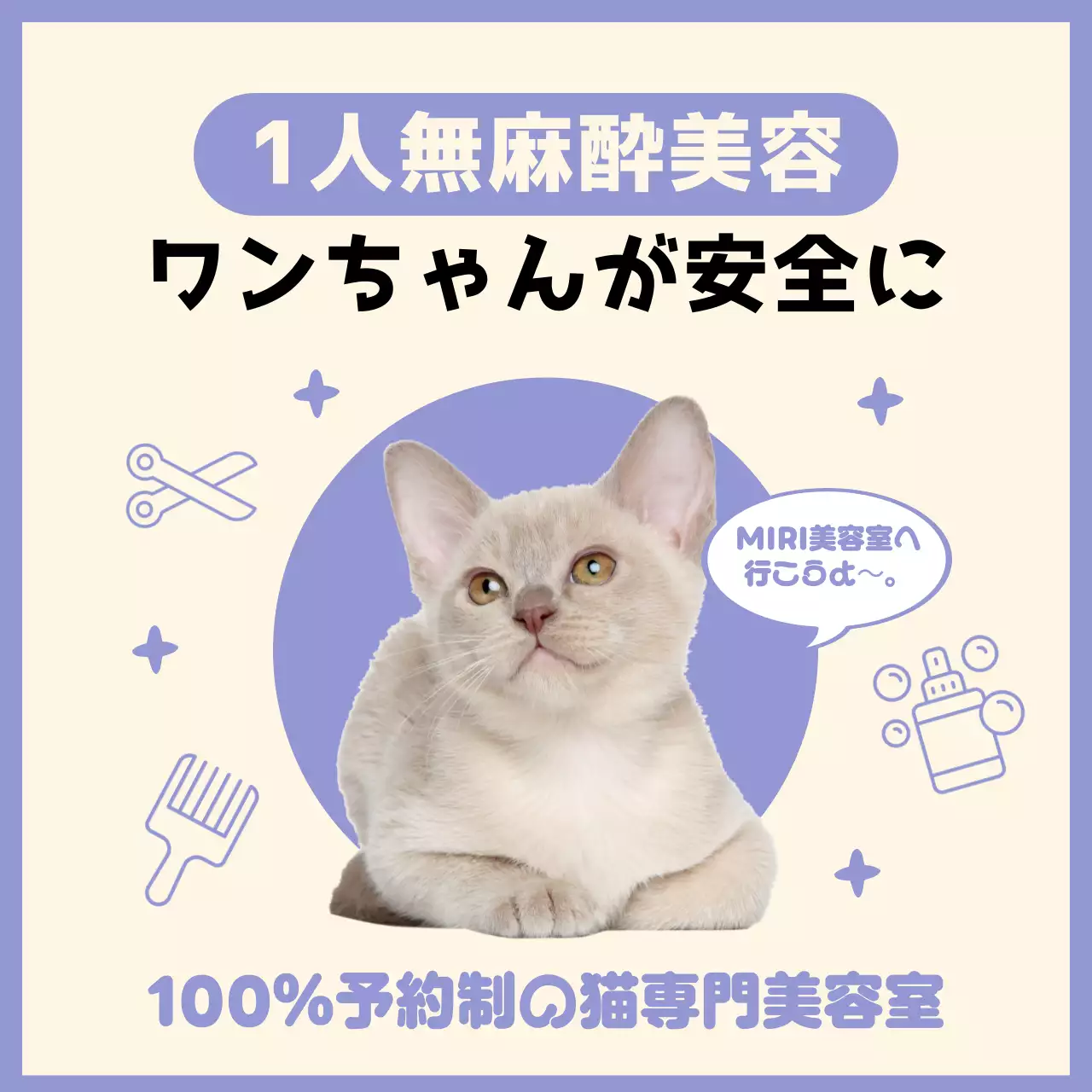 紫 シンプル ペット ポスター SNS投稿 正方形